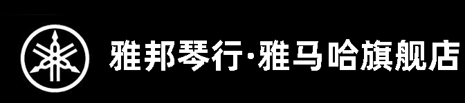 济宁市雅邦乐器有限公司