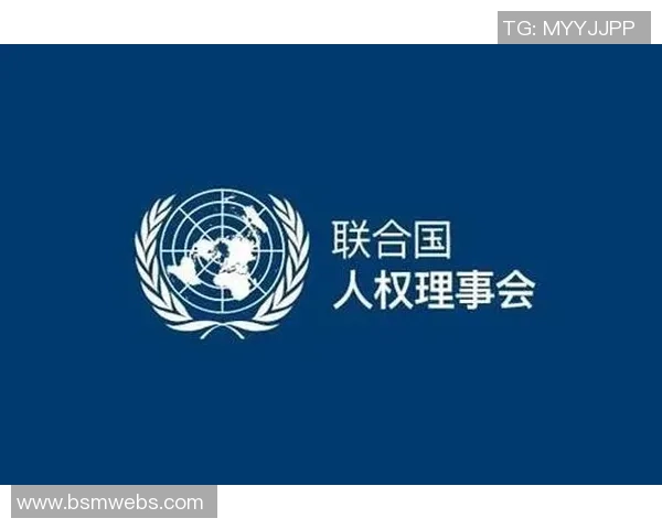 人权组织对全球人权状况的关注与呼吁推动社会公正与和平发展